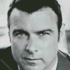 Black And White Liev Schreiber 5D Diamond Painting