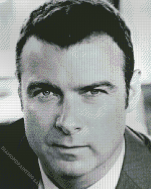 Black And White Liev Schreiber 5D Diamond Painting