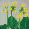 Cowslips Art 5D Diamond Painting