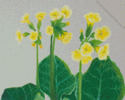 Cowslips Art 5D Diamond Painting