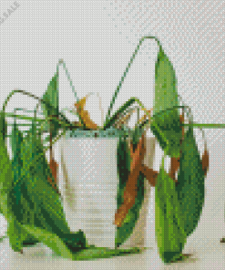 Droopy Wilted Plant 5D Diamond Painting