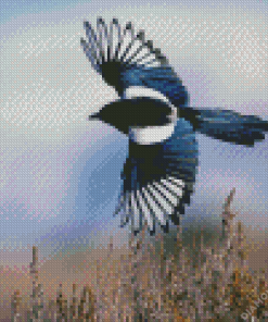 Flying Black Billed Magpie 5D Diamond Painting