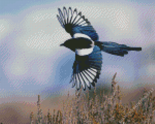 Flying Black Billed Magpie 5D Diamond Painting