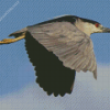 Flying Night Heron Bird 5D Diamond Painting