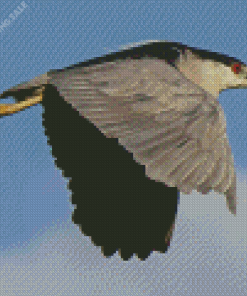 Flying Night Heron Bird 5D Diamond Painting