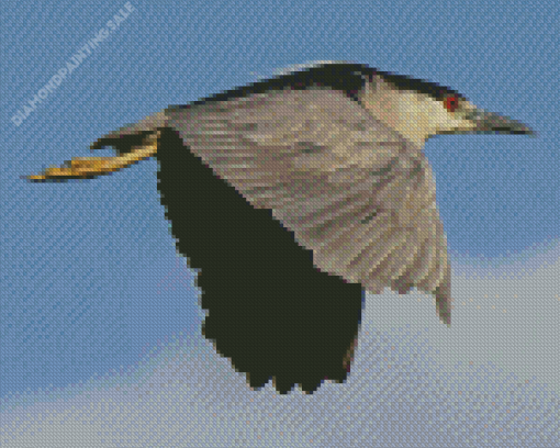 Flying Night Heron Bird 5D Diamond Painting