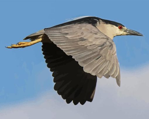 Flying Night Heron Bird 5D Diamond Painting