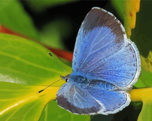 Holly Blue Butterfly 5D Diamond Painting