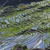 Japanese Rice Fields 5D Diamond Painting