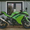 Kawasaki Ninja Green Motorcycle 5D Diamond Painting