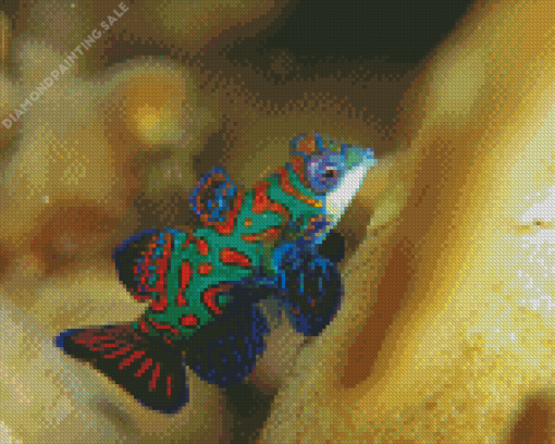 Mandarin Fish 5D Diamond Painting
