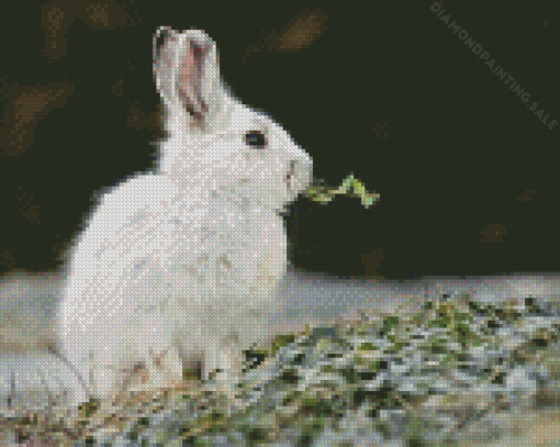 Snowshoe Hare 5D Diamond Painting