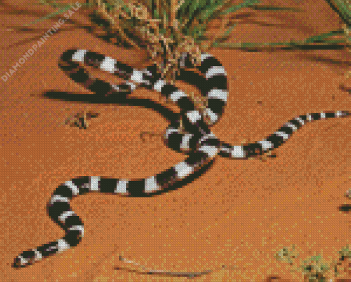 Black And White Snake 5D Diamond Painting