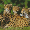 Cheetah And Cubs In Safari 5D Diamond Painting