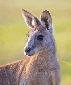 Close Up Eastern Grey Kangaroo 5D Diamond Painting