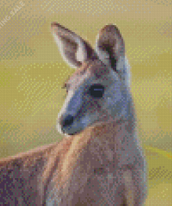 Close Up Eastern Grey Kangaroo 5D Diamond Painting