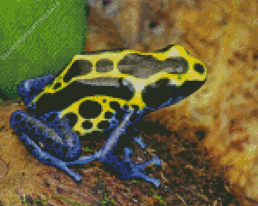 Dart Frogs 5D Diamond Painting