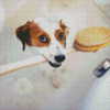 Dog in Bath 5D Diamond Painting