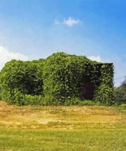 Kudzu 5D Diamond Painting