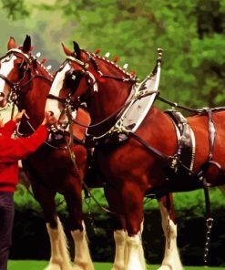 Man With Budweiser Clydesdales Horses 5D Diamond Painting