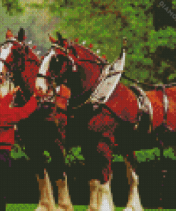 Man With Budweiser Clydesdales Horses 5D Diamond Painting