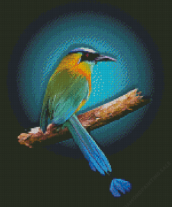 Motmot Bird Animal Art 5D Diamond Painting