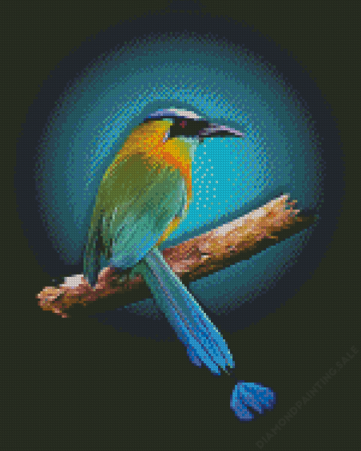 Motmot Bird Animal Art 5D Diamond Painting