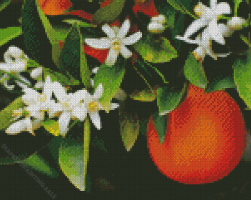 Orange Blossoms 5D Diamond Painting