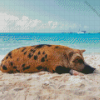 Pig In The Beach 5D Diamond Painting