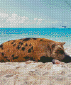 Pig In The Beach 5D Diamond Painting