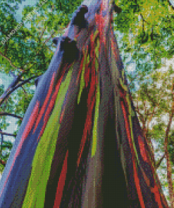 Rainbow Eucalyptus 5D Diamond Painting