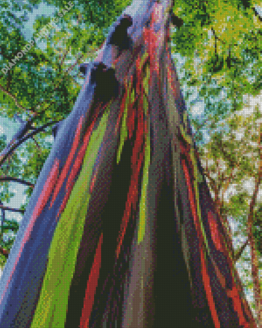 Rainbow Eucalyptus 5D Diamond Painting