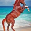 Rearing Horse at The Beach 5D Diamond Painting