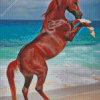 Rearing Horse at The Beach 5D Diamond Painting