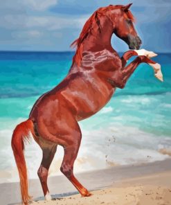 Rearing Horse at The Beach 5D Diamond Painting