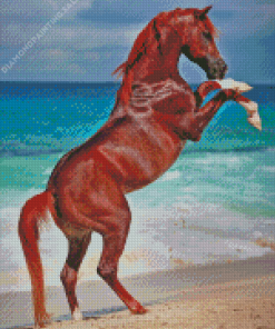 Rearing Horse at The Beach 5D Diamond Painting