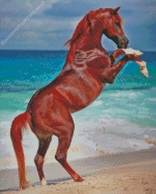 Rearing Horse at The Beach 5D Diamond Painting