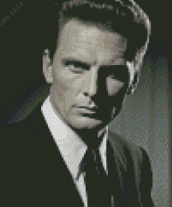 Robert Stack 5D Diamond Painting