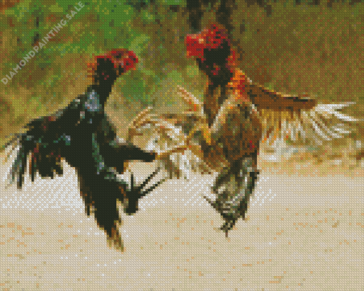 Rooster Fighting 5D Diamond Painting