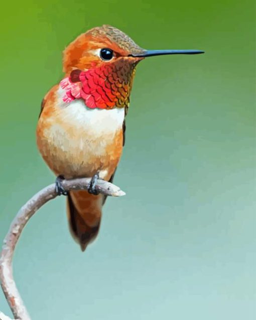 Rufous Hummingbird On Branch 5D Diamond Painting