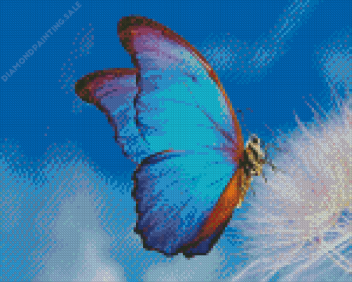 Teal Butterfly 5D Diamond Painting