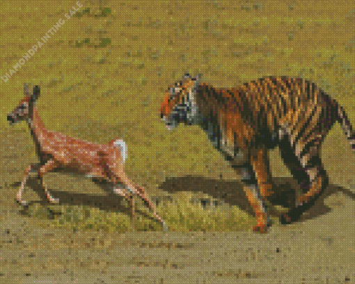 Tiger Hunting Deer 5D Diamond Painting