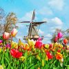 Tulips In Holland 5D Diamond Painting