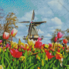 Tulips In Holland 5D Diamond Painting