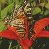 Wood Lily With Swallowtails 5D Diamond Painting