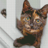 Black and Ginger Cat 5D Diamond Painting