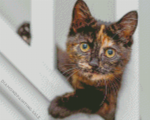 Black and Ginger Cat 5D Diamond Painting
