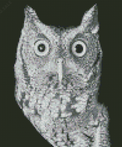 Black And White Owl 5D Diamond Painting