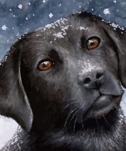 Black Labrador Retriever In Snow 5D Diamond Painting