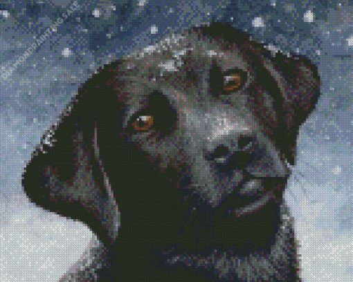Black Labrador Retriever In Snow 5D Diamond Painting